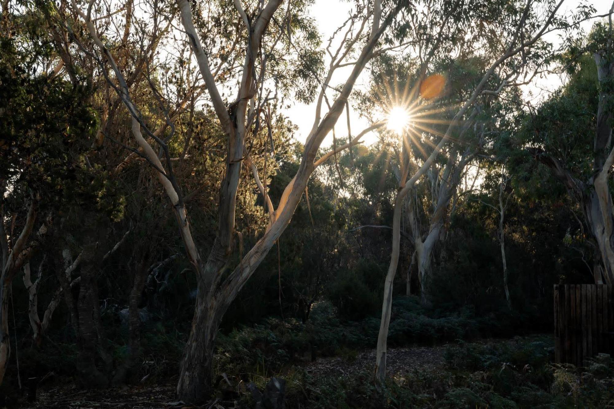 Hotel Numie - Freycinet Peninsula - Glamping - Heated - Waterfront Coles Bay Exterior foto