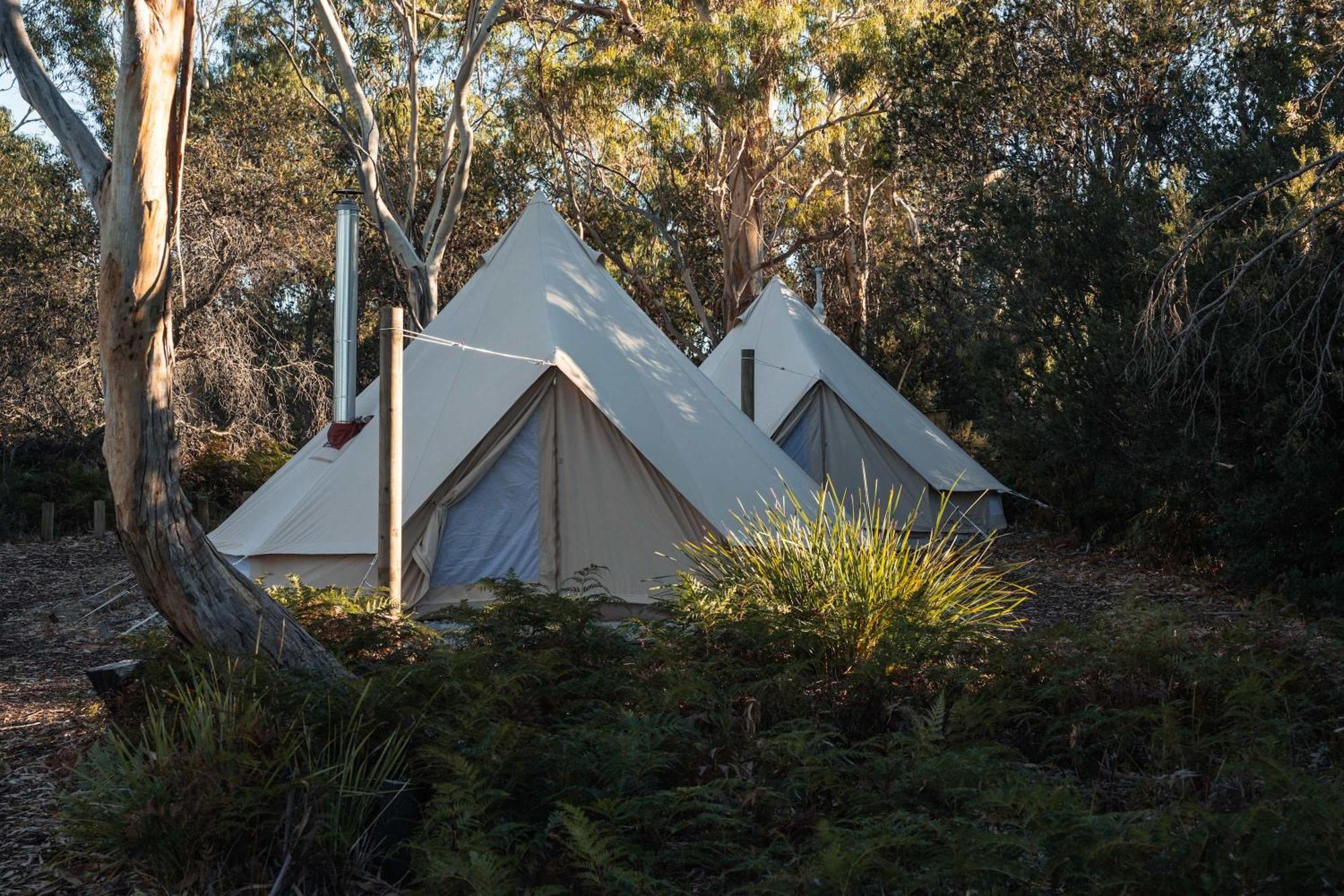 Hotel Numie - Freycinet Peninsula - Glamping - Heated - Waterfront Coles Bay Exterior foto