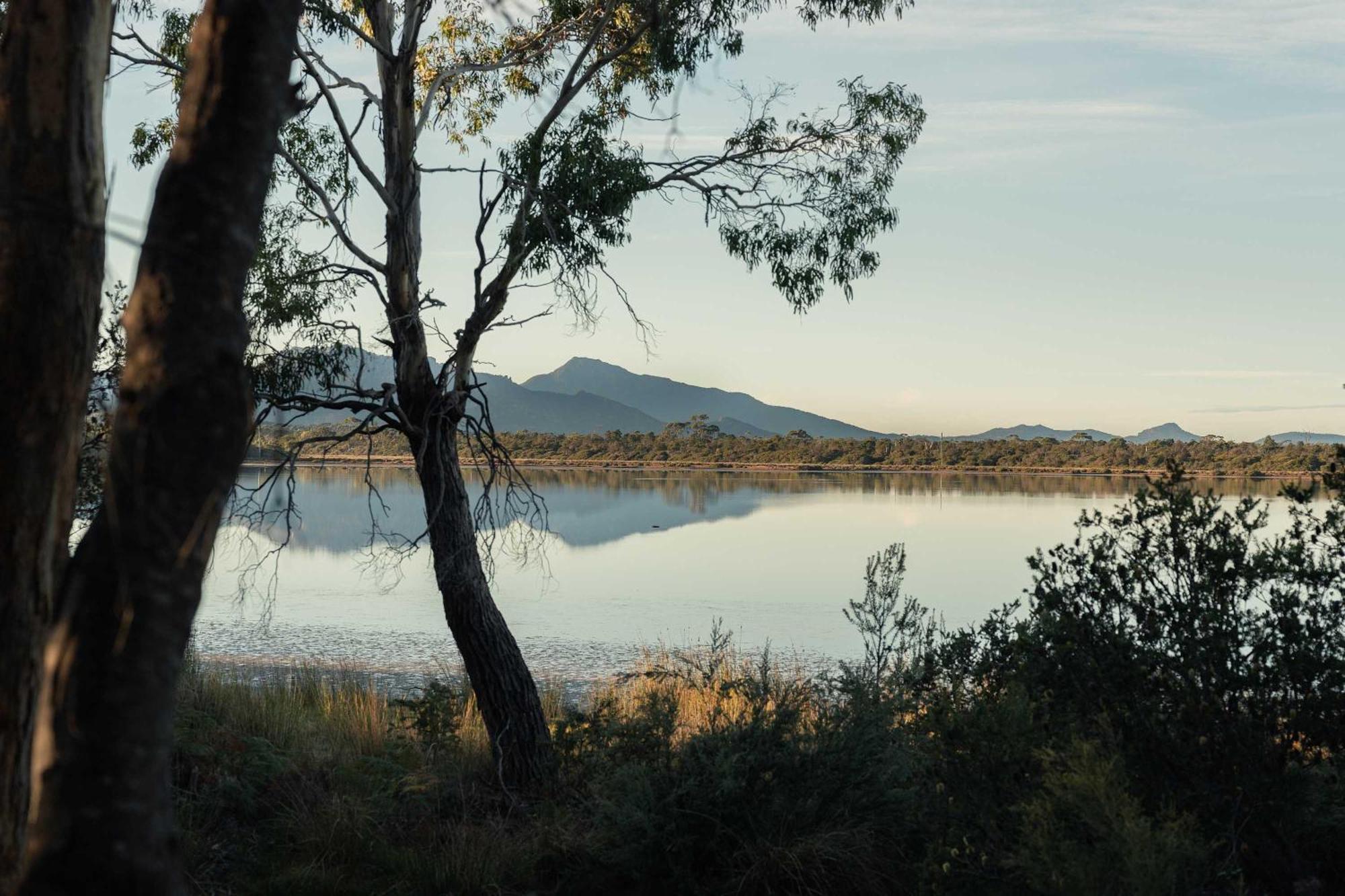 Hotel Numie - Freycinet Peninsula - Glamping - Heated - Waterfront Coles Bay Exterior foto