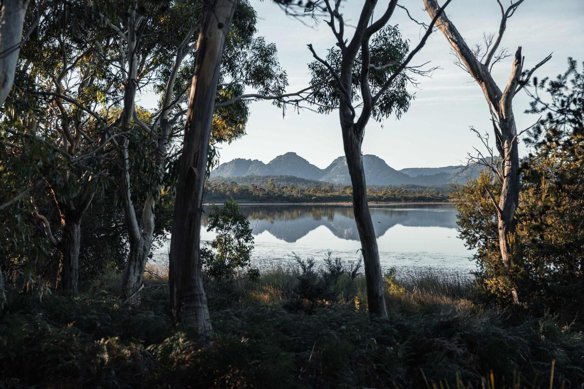 Hotel Numie - Freycinet Peninsula - Glamping - Heated - Waterfront Coles Bay Exterior foto