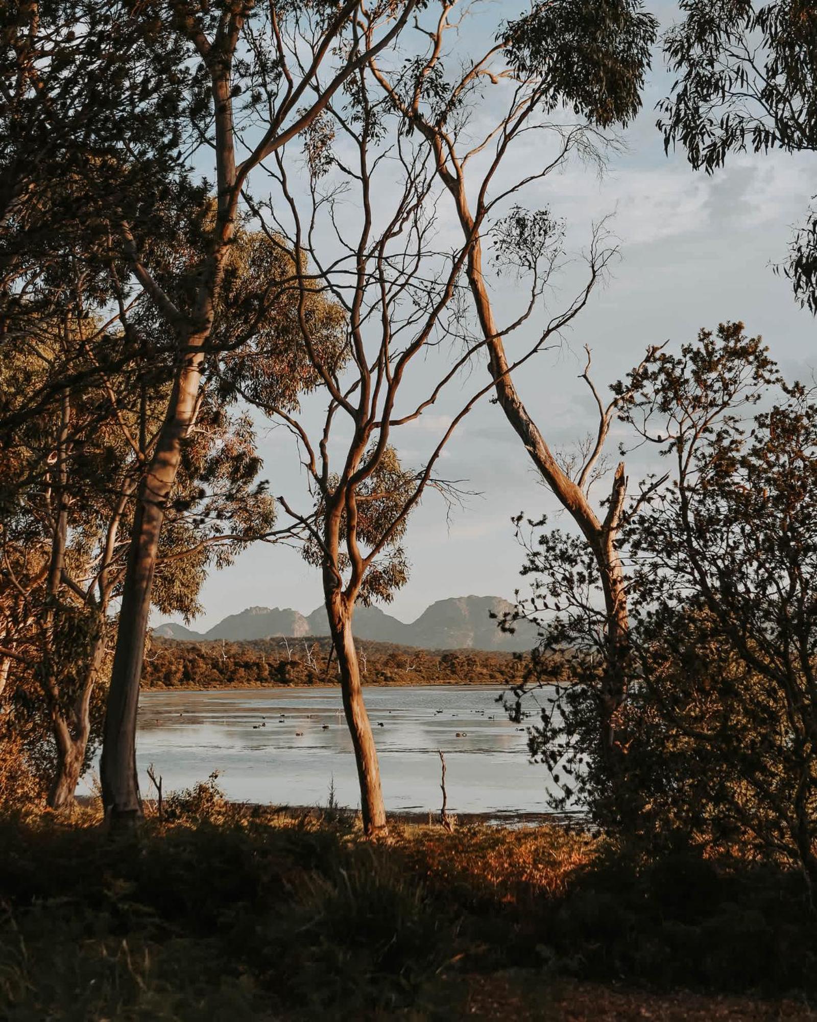 Hotel Numie - Freycinet Peninsula - Glamping - Heated - Waterfront Coles Bay Exterior foto